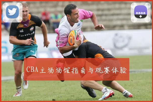 CBA主场场馆指南与观赛体验
